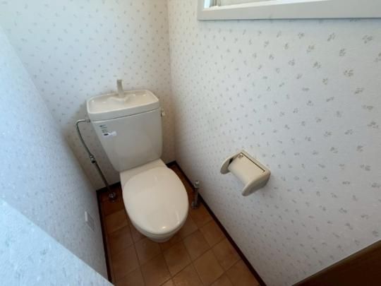 �y���̑��z�@�g�C��