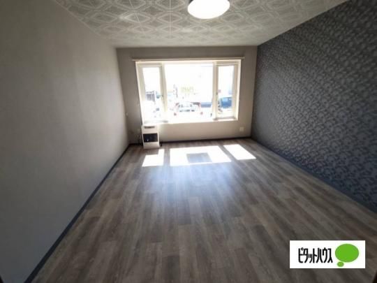 �y���̑��z�@���r���O