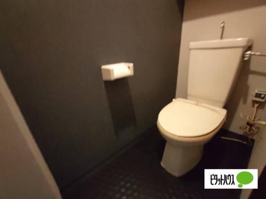 �y���̑��z�@�g�C��