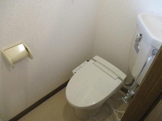 �y���̑��z�@�g�C��