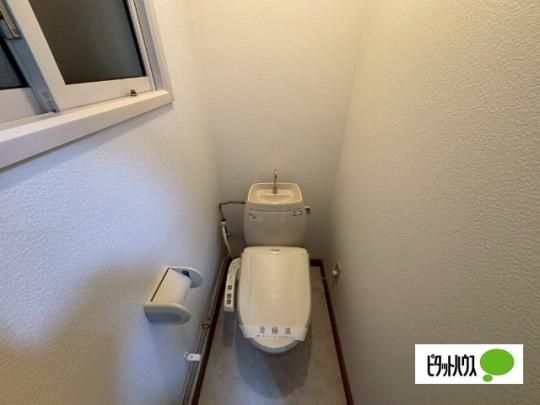 �y���̑��z�@�g�C��