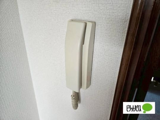 �y���̑��z�@�Z�L�����e�B