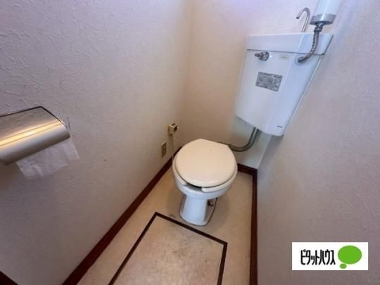 �y���̑��z�@�g�C��