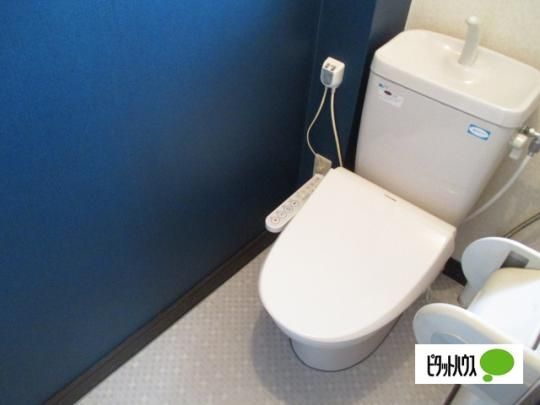 �y���̑��z�@�g�C��