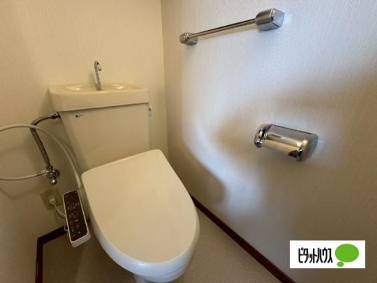 �y���̑��z�@�g�C��