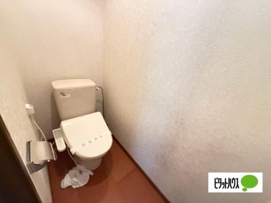�y���̑��z�@�g�C��