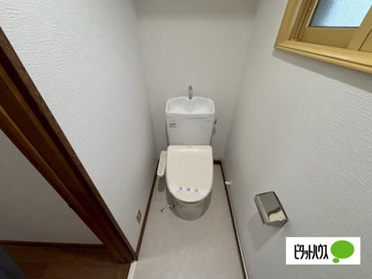 �y���̑��z�@�g�C��