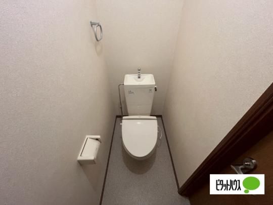 �y���̑��z�@�g�C��