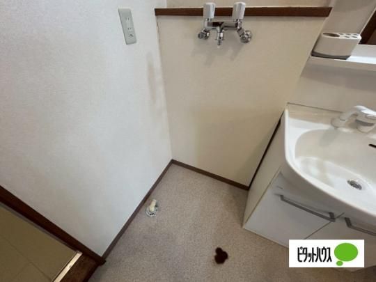 �y���̑��z�@�ݔ�