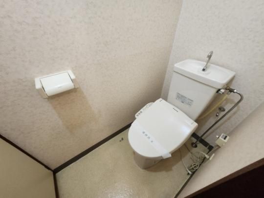 �y���̑��z�@�g�C��