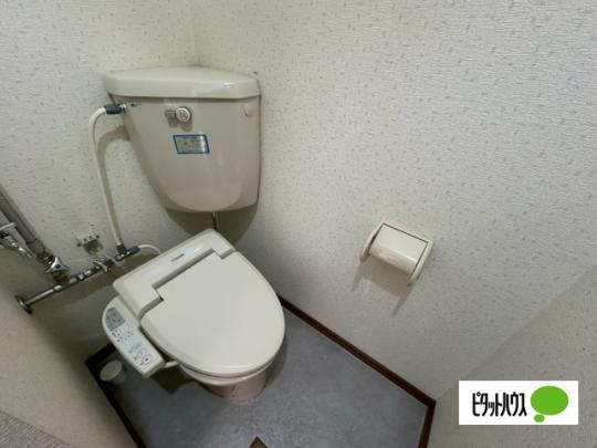 �y���̑��z�@�g�C��