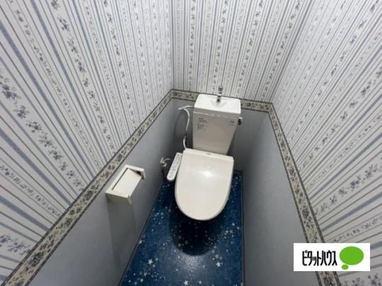 �y���̑��z�@�g�C��