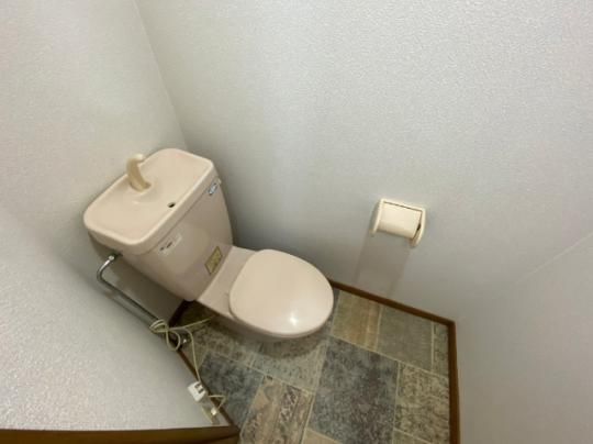 �y���̑��z�@�g�C��