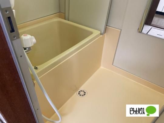 �y���̑��z�@�o�X�^�V�����[