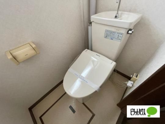�y���̑��z�@�g�C��