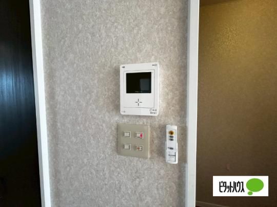 �y���̑��z�@�Z�L�����e�B