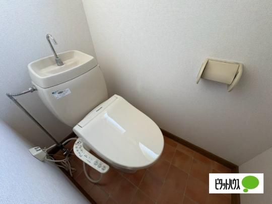 �y���̑��z�@�g�C��