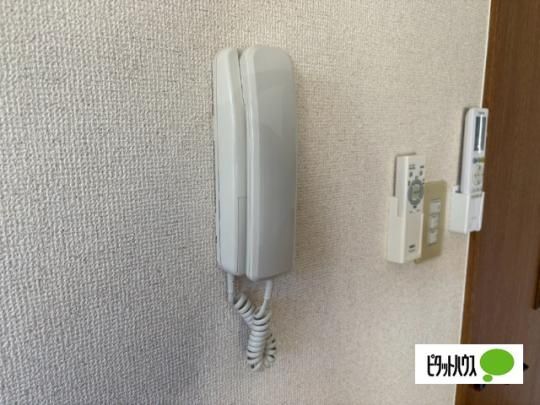 �y���̑��z�@�Z�L�����e�B