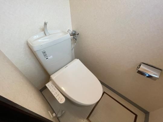 �y���̑��z�@�g�C��
