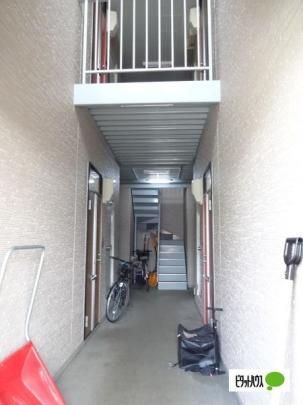 �y�����O�ρz�@�G���g�����X