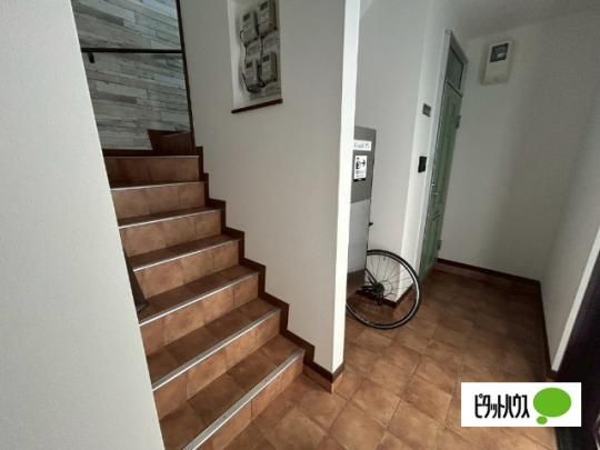 �y�����O�ρz�@���r�[