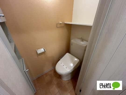 �y���̑��z�@�g�C��