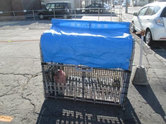 �y�����O�ρz�@���L����