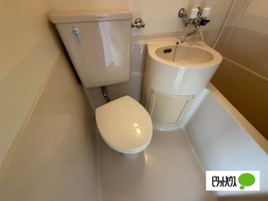 �y���̑��z�@�g�C��