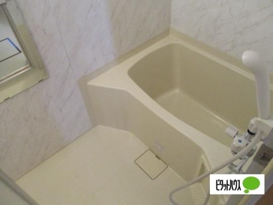 �y���̑��z�@�o�X�^�V�����[