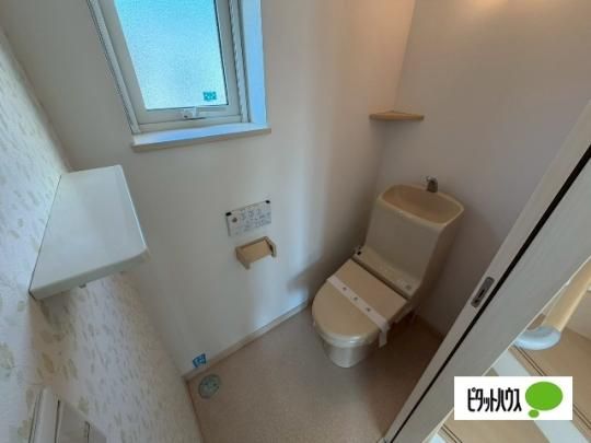 �y���̑��z�@�g�C��