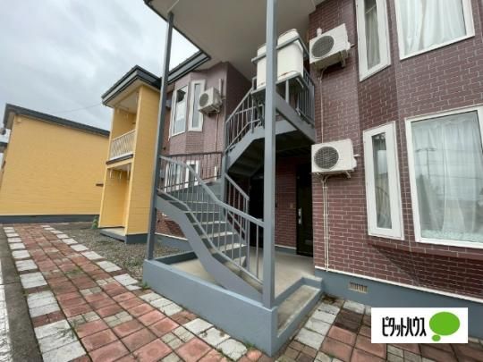 �y�����O�ρz�@�G���g�����X