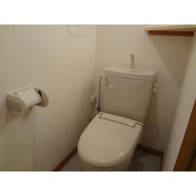 �y���̑��z�@�g�C��
