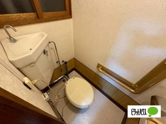 �y���̑��z�@�g�C��