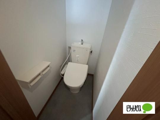 �y���̑��z�@�g�C��