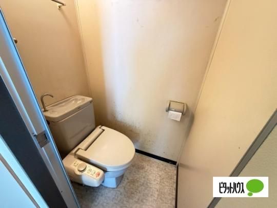 �y���̑��z�@�g�C��