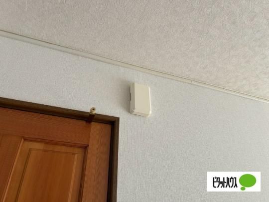 �y���̑��z�@�Z�L�����e�B