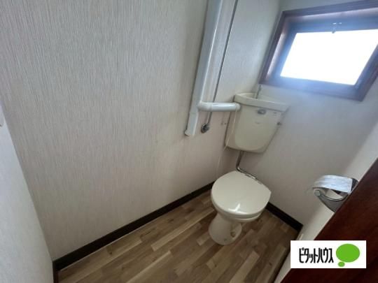 �y���̑��z�@�g�C��