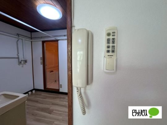 �y���̑��z�@�Z�L�����e�B