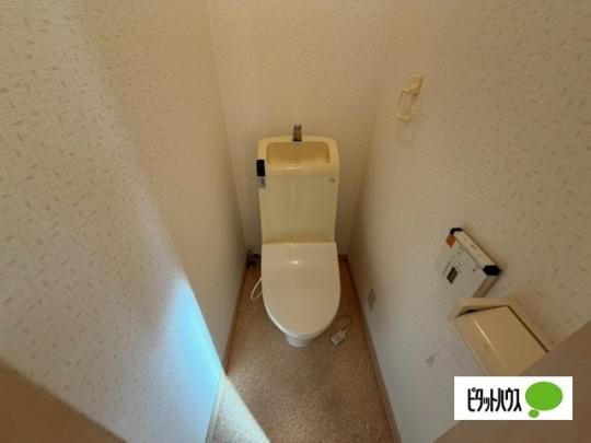 �y���̑��z�@�g�C��