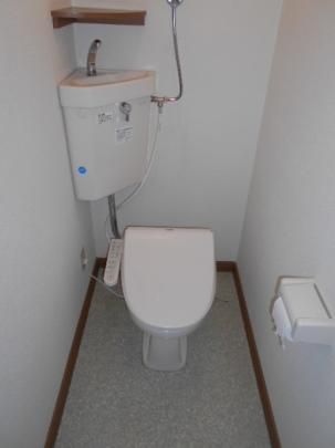�y���̑��z�@�g�C��