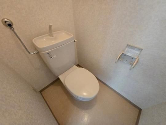 �y���̑��z�@�g�C��