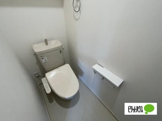 �y���̑��z�@�g�C��