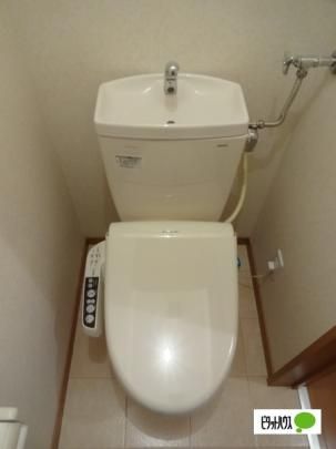 �y���̑��z�@�g�C��