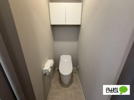 �y���̑��z�@�g�C��