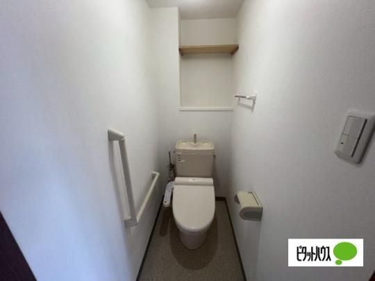�y���̑��z�@�g�C��