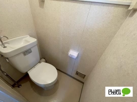 �y���̑��z�@�g�C��