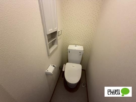 �y���̑��z�@�g�C��