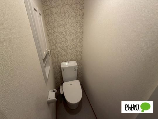 �y���̑��z�@�g�C��