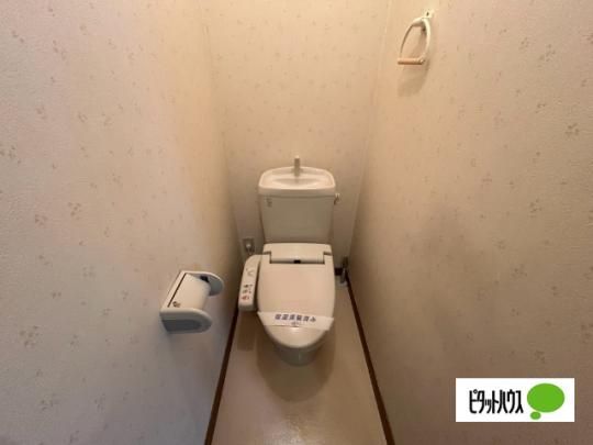 �y���̑��z�@�g�C��
