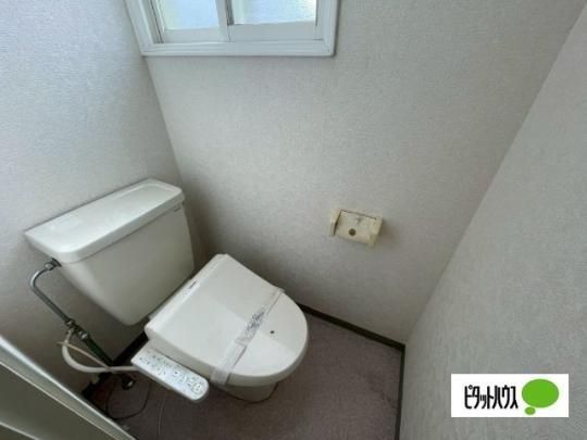 �y���̑��z�@�g�C��
